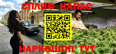 индика Анжеро-Судженск